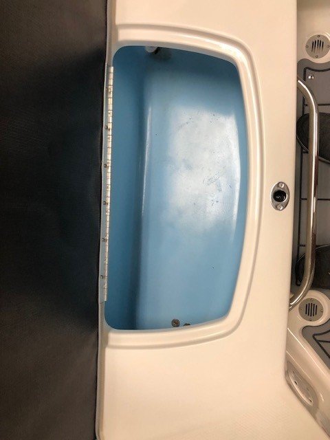 Performance boats are the sleek sports cars of the boating world, offering high speeds and precise handling to boaters who prefer their thrills full throttle.