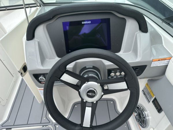 Performance boats are the sleek sports cars of the boating world, offering high speeds and precise handling to boaters who prefer their thrills full throttle.