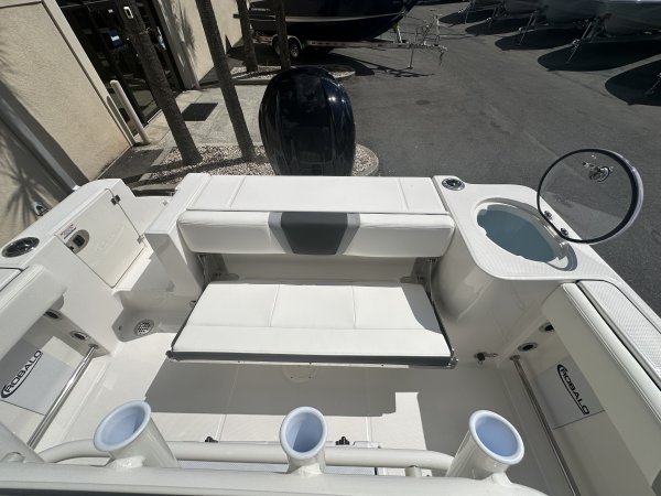 A R230 Center Console is a Power and could be classed as a Center Console, Freshwater Fishing, High Performance, Saltwater Fishing, Runabout,  or, just an overall Great Boat!